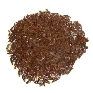 Süßwasser-Shrimps getrocknet 1000ml, Fischfutter Süßwasser-Shrimps getrocknet 1000ml, Fischfutter von aquariumpflanzen.net