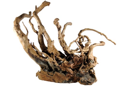 aquariumpflanzen.net Rote Moorwurzel 25-35 cm, Finger Wood von aquariumpflanzen.net