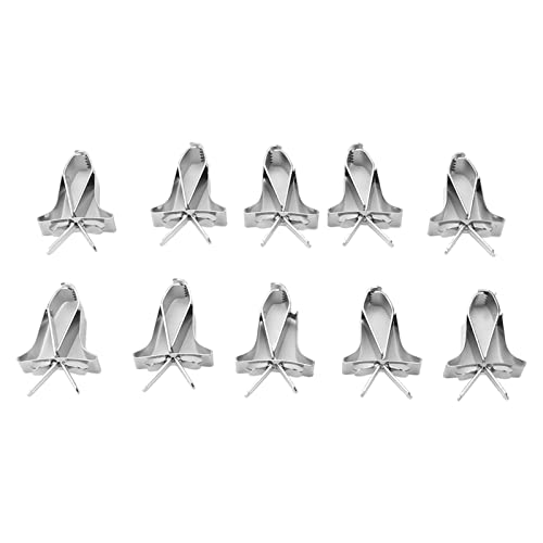 10pcs Frucht Gemüse CL Stainl Stahl Frucht VEGTABLE Feeder CL für Lark Hamster Kaninchen Obst Viertable Clipsbirds Lebensmittelhaltersbi SMS Snacks Tintenfisch von aqxreight