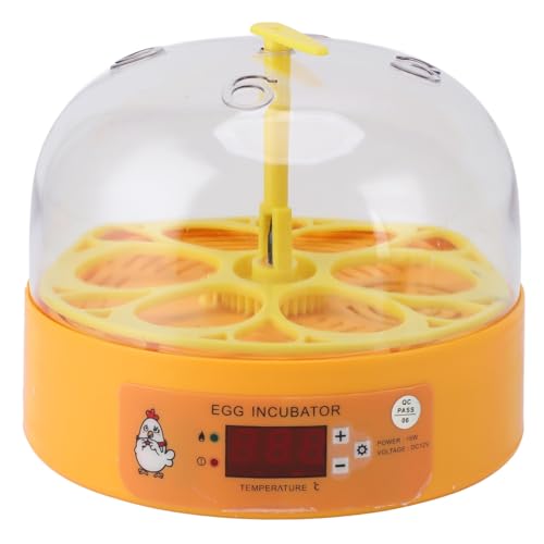 Automatische Temperaturkontrolle 7Egg Geflügelkubator, Idealer Mini -Inkubator für Hühner- und Enteneier, Geeignet für Zuhause, Im Freien, mit Transparentem Blickfenster von aqxreight