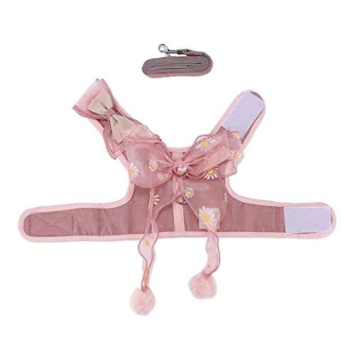 Cat Harn und Le Setzen Atmungsaktive Fairy Bowknot -Weste Katze Seil Zum Gehen Im Freien Im Freien, Grey S Cat Wanderseilbogen -Weste Ropecat den Hinteren Starken Ring (M) von aqxreight