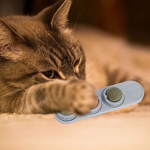 Cat Snack Lick Lick Catnip Nutrition Rund B Zähnen Haustier Spielzeugversorgungen Catnipcat Toypet Toycatnip Toycat Snack Serviert Zwecke Erhöht den Appetit der Katzen. von Denen Spielerisch die von aqxreight