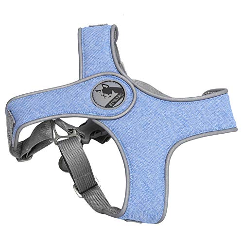 Haustier Le Vest Reflektierend Harn Atmungsaktiven Katzenhund Outdoor Walking Gurtblue XS Pet Bruststrappet Le Vestdog Vest Harneest Reflexion (M) von aqxreight