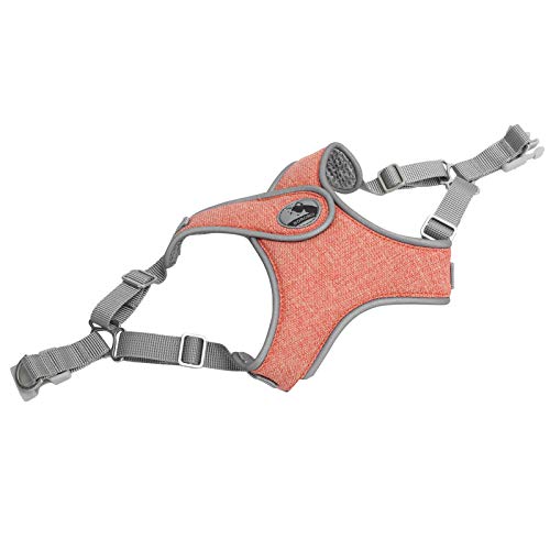 Haustier Le Vest Reflektierend Harn Atmungsaktiven Katzenhund Outdoor Walking Gurtblue XS Pet Bruststrappet Le Vestdog Vest Harneest Reflexion (S) von aqxreight