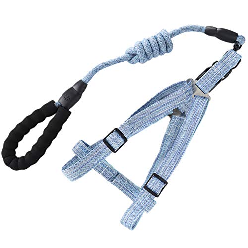 Hund Harn mit Le Set Pet EscapeProof Harn St (XL (geeignet für 45–60 Katzen)) von aqxreight