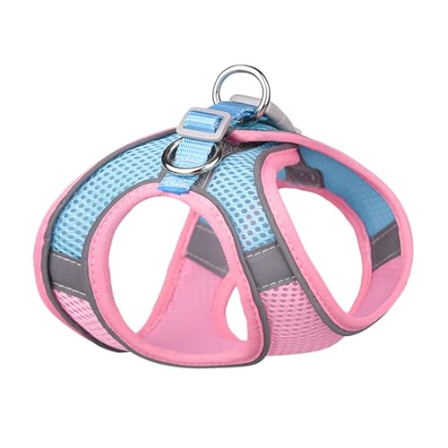 Hundegeschirr-Set, Reflektierend, Atmungsaktiv, Netzgewebe, für Spaziergänge, Wandern, Training, XS, für Spaziergänge mit Einem Brustumfang von 33–39 cm und Einem Halsumfang von Hundegeschirr-Set, Reflektierend, Atmungsaktiv, Netzgewebe, für Spaziergänge, Wandern, Training, XS, für Spaziergänge mit Einem Brustumfang von 33–39 cm und Einem Halsumfang von von aqxreight