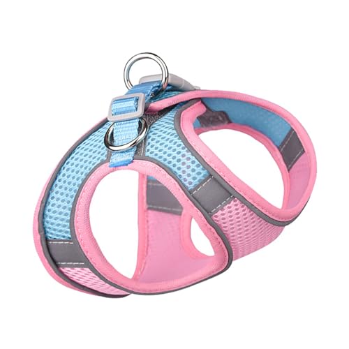 Hundegeschirr-Set, Reflektierend, Atmungsaktiv, Netzgewebe, für Spaziergänge, Wandern, Training, XS, für Spaziergänge mit Einem Brustumfang von 33–39 cm und Einem Halsumfang von Hundegeschirr-Set, Reflektierend, Atmungsaktiv, Netzgewebe, für Spaziergänge, Wandern, Training, XS, für Spaziergänge mit Einem Brustumfang von 33–39 cm und Einem Halsumfang von von aqxreight