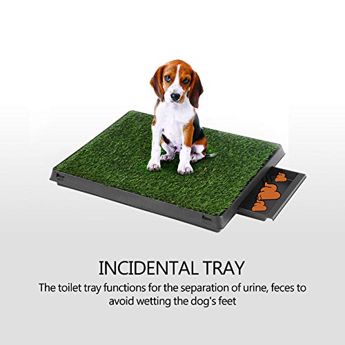 Hundepapler Katze Haustier Töpfchen Matte Graspolster mit Tabletthaus Innenräume Toilettenpee -Trainingstromwerkzeug mit Tabletthaus Hundepapler Katze Haustier Töpfchen Matte Graspolster mit Tabletthaus Innenräume Toilettenpee -Trainingstromwerkzeug mit Tabletthaus von aqxreight