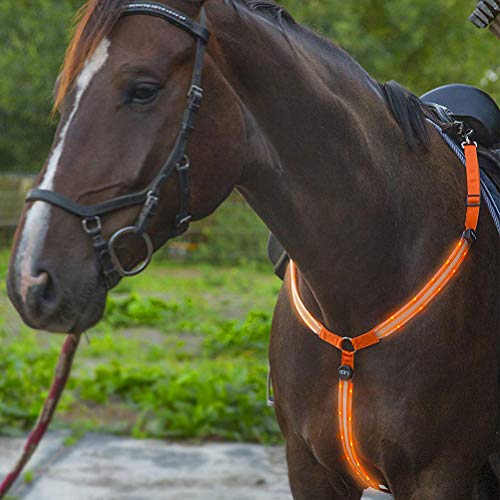 LED Horse Brustpellandkragen Verstärken die Nächtliche Sichtbarkeit und für das Fahren von Trails (#4) von aqxreight