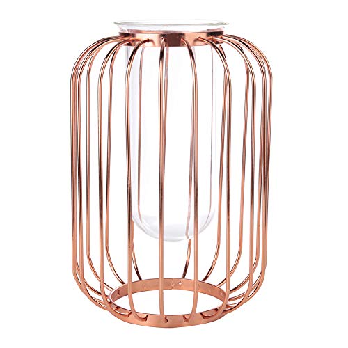 Nordische Laternenförmige Schmiedeeisenvase mit Glaseinsatz – Elegante Tisch-Blumenvase für Heim- und Hochzeitsdekoration – Hydrokultur-Terrarium-Herzstück (Roségold) von aqxreight