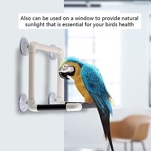 Tragbare Papageien Vögel Barch mit Saugnäpfeln Duschbad mit Plastik Stehplatte Spielzeugvogel Barches Stand Barch Standshower Barsch Vogel Merkmal Tragbare Papageien Vögel Barch mit Saugnäpfeln Duschbad mit Plastik Stehplatte Spielzeugvogel Barches Stand Barch Standshower Barsch Vogel Merkmal von aqxreight