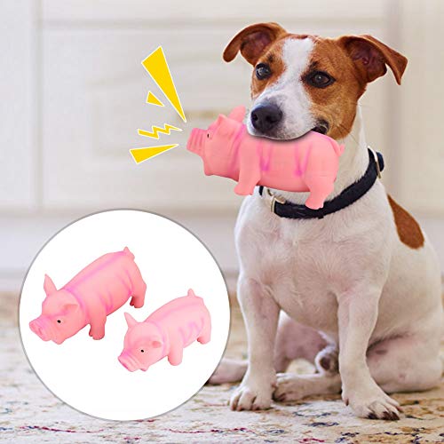 aqxreight 2pcs 15 cm 20 cm Modell Klingen Latexzähne Beißen Kauspielzeug für Hundehund Toylatex Hunde Toydog Chew Toypet Cheweth Dog's Play. Gemacht von aqxreight