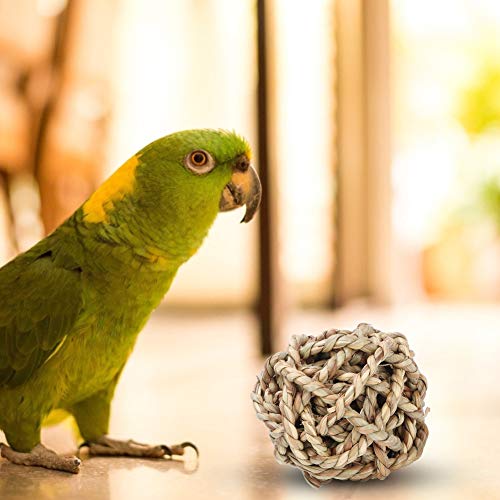 aqxreight 4pcs/ Pack Bird Chew Toy Bunny Zahnen Behandelt SM Animal G B Sepak Tak Toyssepak Takraw B Toy Chew Toy G Ballbunny Chew Zahnen Spielzeugkauen Speziell für Verarbeitete Zerstörte Destruktiv aqxreight 4pcs/ Pack Bird Chew Toy Bunny Zahnen Behandelt SM Animal G B Sepak Tak Toyssepak Takraw B Toy Chew Toy G Ballbunny Chew Zahnen Spielzeugkauen Speziell für Verarbeitete Zerstörte Destruktiv von aqxreight