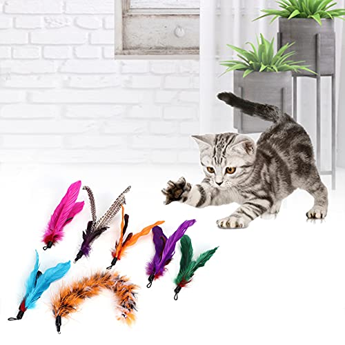 aqxreight 7 PCs Haustierkatze Teaser Dangler Toy Rods Feather Ersatz Katzen Liefert Cat Toycat Feather Toycat Interaktiv Wie Quick Can de de von aqxreight