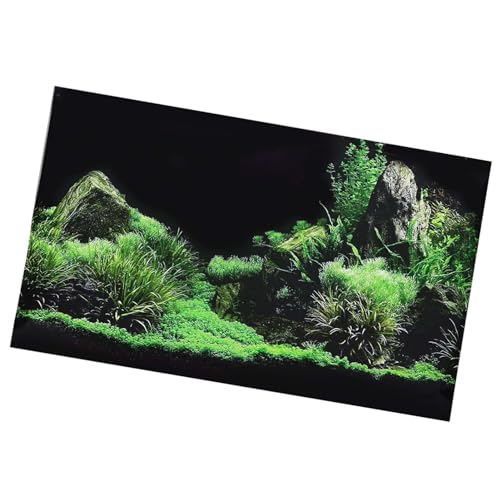 aqxreight Aquarium-Poster, Meeresboden, Wasser, Gras, Fische, Hintergrunddekoration, 3D-PVC, Selbstklebende Wanddekoration für Aquarien (61 * 40cm) von aqxreight