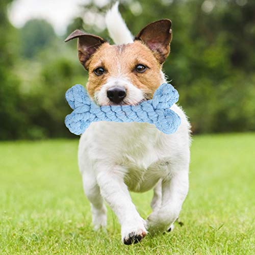 aqxreight Cartoon Tierform Reines Manuelles Weben von Haustier -Baumwollseil Beißen Kau -Molierspielzeug für Hunde (Blaue Knochen) von aqxreight