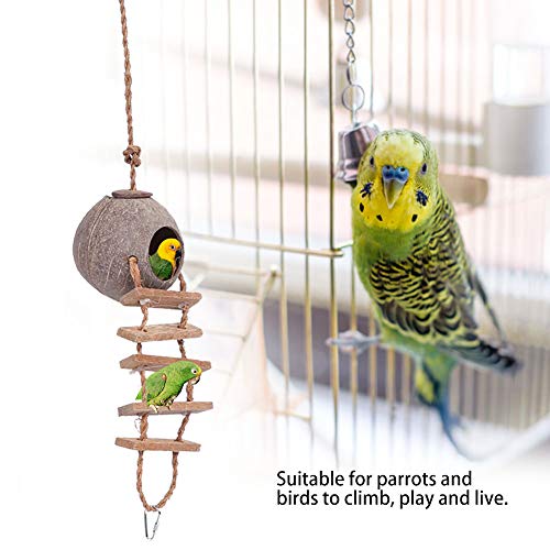 aqxreight Coconut Shell Bird für Papageien mit Seilleiter Zwei Größenoptionen (Typ 1) von aqxreight