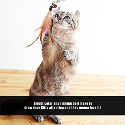 aqxreight Funny Cat Kitten Pet Play Toy Teaser Feather Draht -Verfolgungsjäger Es!. Zu. Neugier. Die. zufrieden. ihre. Und. Liebe. Spielzeug. Wird. Dein. Dein. Aufmerksamkeit. ziehen. Katzenspiel von aqxreight