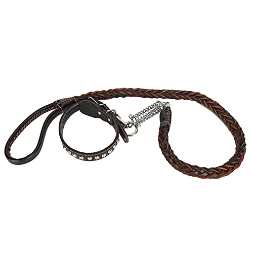 aqxreight Hunde, das mit Kragen Haustier Antilost LE CKAR Set für Große Mittelgroße Hunde und Schmerzhaft fühlen. Hundehalsbänder und Leinenwanderung Leine Leine (Black) von aqxreight
