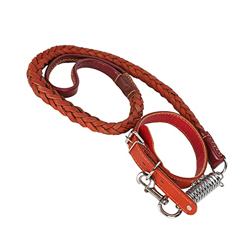 aqxreight Hunde, das mit Kragen Haustier Antilost LE CKAR Set für Große Mittelgroße Hunde und Schmerzhaft fühlen. Hundehalsbänder und Leinenwanderung Leine Leine (Brown) von aqxreight