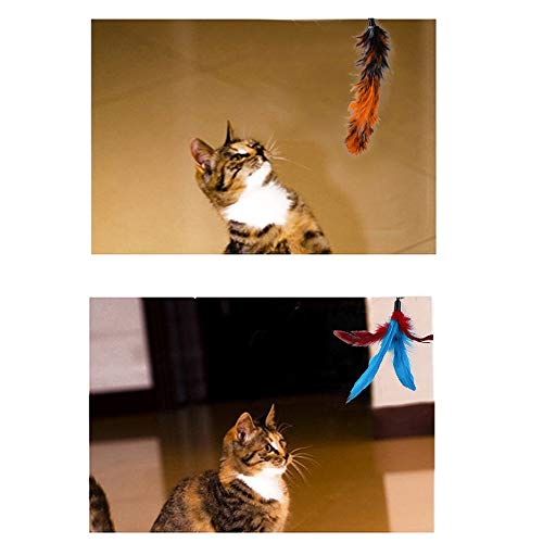 aqxreight Katzenfederstange Interaktive Feder Teaser Retractable Cat -Zauberstab 11 Stcs von aqxreight