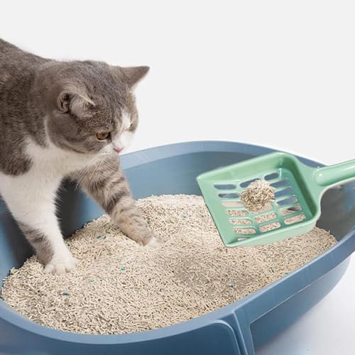 aqxreight Katzenstreu -Schaufel -Kunststoff Sifeting Werkzeug für die Einfache und Wartung von Katzenstreu von aqxreight