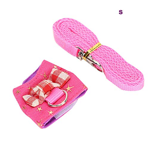 aqxreight Kleintiergurt mit Hook & Loop und D-Ring für Eichhörnchen Hamster Chinchillas Muster Design (S) von aqxreight