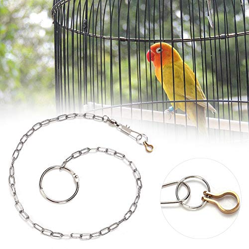 Staainl Steel Pet Birds Fußkette Fußkettentraining Harn Vögel Fußkettenbird (Alexander) von aqxreight