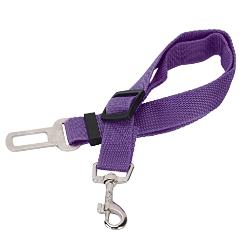 aqxreight Verstellbarer Haustierwagengürtel für Hunde und Katzen Nylongurt mit Zinklegungshaken (Purple) von aqxreight