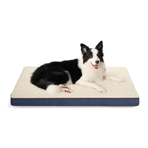 arenmi Katzen- und Hunde-Plüschkissen, für vier Jahreszeiten, Schlafunterlage für Hunde und Katzen, abnehmbar, faltbar, für den Innenbereich arenmi Katzen- und Hunde-Plüschkissen, für vier Jahreszeiten, Schlafunterlage für Hunde und Katzen, abnehmbar, faltbar, für den Innenbereich von arenmi