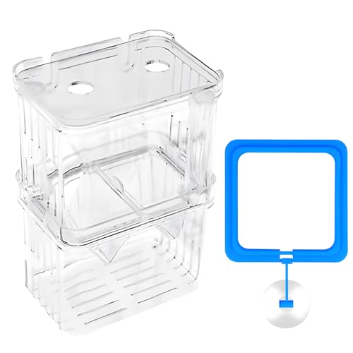 Aquarium Zuchtbox - Transparenter Kunststoff Züchter & Isolationstank für Guppy, Tropische Arten, Schwimmender Inkubator mit Saugnäpfen, Tankteiler Aquarium Zuchtbox - Transparenter Kunststoff Züchter & Isolationstank für Guppy, Tropische Arten, Schwimmender Inkubator mit Saugnäpfen, Tankteiler von arrderly