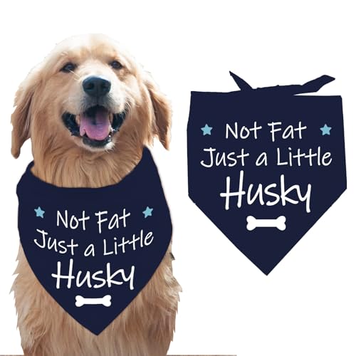 arricraft 1 Stück Haustier Hundehalstuch „Nicht Fett Dreieckiges Haustier Halstuch Mit Den Worten „Nur EIN Kleiner Husky“ Mit Stern Und Knochenmuster Verstellbar Bequem Lätzchen Waschbar arricraft 1 Stück Haustier Hundehalstuch „Nicht Fett Dreieckiges Haustier Halstuch Mit Den Worten „Nur EIN Kleiner Husky“ Mit Stern Und Knochenmuster Verstellbar Bequem Lätzchen Waschbar von arricraft