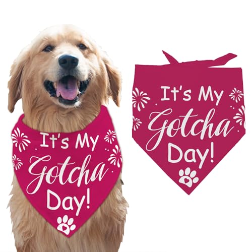 arricraft 1 Stück Haustier Hundehalstuch Dreieckiges Haustier Halstuch Aus Rosa Baumwolle Mit Der Aufschrift „It's My Gotcha Day“ Waschbar Schal Lätzchen Bedrucktes Zubehör Hundehalstuch Für Große von arricraft