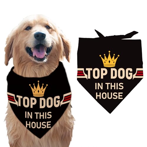 arricraft 1 Stück Haustier Hundehalstuch Schwarzes Dreieckiges Haustier Halstuch Aus Baumwolle Mit Der Aufschrift „Top Dog In This House“ Pfotenaufdruck Waschbarer Schal Lätzchen Bedrucktes von arricraft
