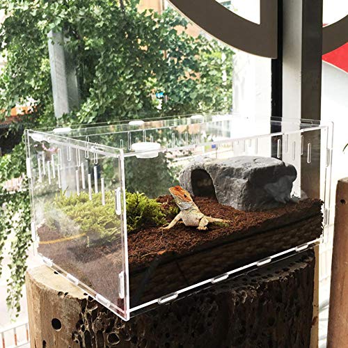 arthomer Kiste zur Aufzucht von Reptilien, Acryl, transparent, für Reptilien, Acryl, Reptilien, Terrarium, kleine Haustiere, 29 x 19,6 x 15 cm von arthomer