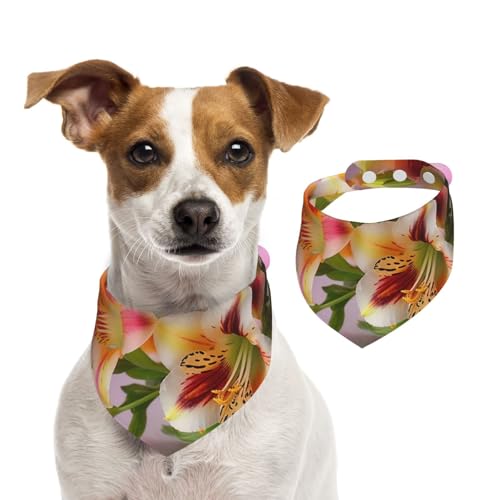 Alstroemeria-Hundehalstücher, waschbar, verstellbar, Dreieckstuch für Hunde, süße Haustier-Lätzchen für mittelgroße und große Hunde, Welpen und große Katzen Alstroemeria-Hundehalstücher, waschbar, verstellbar, Dreieckstuch für Hunde, süße Haustier-Lätzchen für mittelgroße und große Hunde, Welpen und große Katzen von asbwuo
