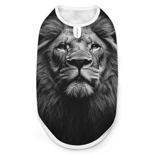 Close Up of A Lion Modische Haustierweste, leicht zu tragende Hundekleidung für kleine Hunde, tägliche Spaziergänge, XL Close Up of A Lion Modische Haustierweste, leicht zu tragende Hundekleidung für kleine Hunde, tägliche Spaziergänge, XL von asbwuo