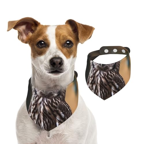 Eule, die auf dem Baum Steht, Hundehalstücher, waschbar, verstellbar, Dreieckstuch, Lätzchen für Hunde, süße Haustierlätzchen für mittelgroße und große Hunde, Welpen und große Katzen von asbwuo