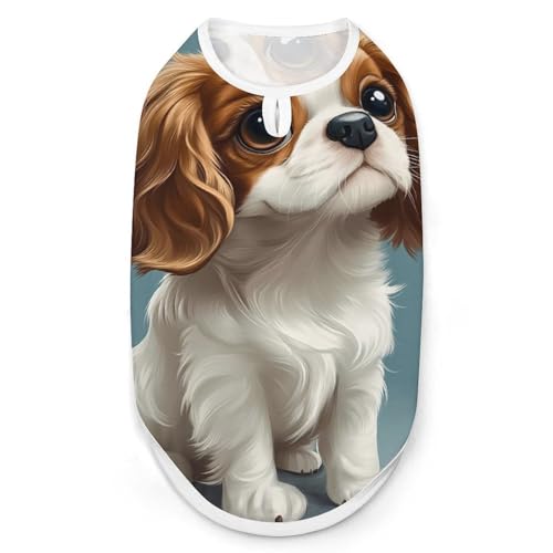 Porträt von Cavalier King Charles Span Modische Haustierweste, leicht zu tragende Hundekleidung für kleine Hunde, tägliche Spaziergänge, S Porträt von Cavalier King Charles Span Modische Haustierweste, leicht zu tragende Hundekleidung für kleine Hunde, tägliche Spaziergänge, S von asbwuo
