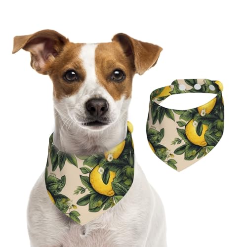 Zitronen-Hundehalstücher, waschbar, verstellbar, Dreieckstuch, Lätzchen für Hunde, süße Haustier-Lätzchen für mittelgroße und große Hunde, Welpen und große Katzen von asbwuo