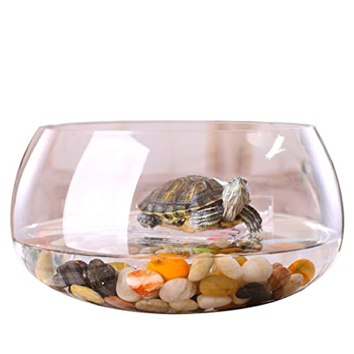 Aquarium Kreatives Rundes Transparentes Glas-Aquarium, Aquarium Für Zuhause, Büro, Aquarium, Aquarium, Wohnzimmer, Schreibtisch, Aquarium-Dekoration, Aquarium-Dekorationen Aquarium Kreatives Rundes Transparentes Glas-Aquarium, Aquarium Für Zuhause, Büro, Aquarium, Aquarium, Wohnzimmer, Schreibtisch, Aquarium-Dekoration, Aquarium-Dekorationen von asdchZen