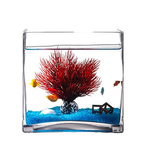 Aquarium Persönlichkeit Kreative Quadrat Glas Fisch Tank Aquarium Hause Wohnzimmer Desktop Schildkröte Tank Aquarium Dekoration Fisch Tank Dekorationen Aquarium Persönlichkeit Kreative Quadrat Glas Fisch Tank Aquarium Hause Wohnzimmer Desktop Schildkröte Tank Aquarium Dekoration Fisch Tank Dekorationen von asdchZen