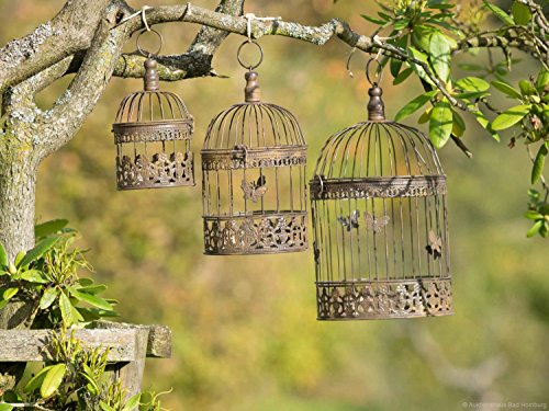 aubaho 3 Vogelkäfige Vogel Käfig Deko Antik Stil Metall braun Bird cage Dekokäfig von aubaho