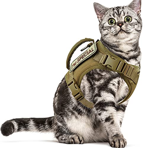 Taktisches Katzengeschirr für Spaziergänge, ausbruchsicher, weiches Netzgewebe, verstellbar, für große Katzen von augopapa