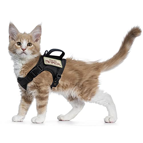 Taktisches Katzengeschirr für Spaziergänge, ausbruchsicher, weiches Netzmaterial, verstellbar, für große Katzen und kleine Hunde, Größe M, Schwarz Taktisches Katzengeschirr für Spaziergänge, ausbruchsicher, weiches Netzmaterial, verstellbar, für große Katzen und kleine Hunde, Größe M, Schwarz von augopapa