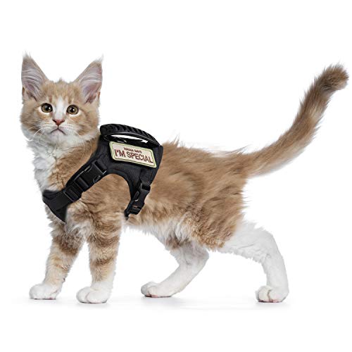 Taktisches Katzengeschirr zum Spazierengehen, ausbruchsicher, weiches Netzgewebe, verstellbare Haustierweste für große Katzen, kleine Hunde Taktisches Katzengeschirr zum Spazierengehen, ausbruchsicher, weiches Netzgewebe, verstellbare Haustierweste für große Katzen, kleine Hunde von augopapa