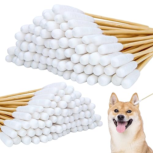 aurorayer 200 Stück Wattestäbchen für Hunde,Ohrenstäbchen Hunde 2 Größe Ohrreiniger Wattestäbchen für Hunde, Katzen, Pferde, Zahnreinigung, Ohrenreinigung aurorayer 200 Stück Wattestäbchen für Hunde,Ohrenstäbchen Hunde 2 Größe Ohrreiniger Wattestäbchen für Hunde, Katzen, Pferde, Zahnreinigung, Ohrenreinigung von aurorayer