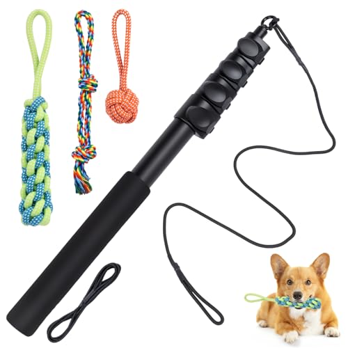 autozen Reizangel Hunde, 6 Stücke Reizangel 151cm für Hunde längenverstellbar Hundespielzeug aus Aluminiumlegierung mit 3 Hundespielzeug Seil für Training autozen Reizangel Hunde, 6 Stücke Reizangel 151cm für Hunde längenverstellbar Hundespielzeug aus Aluminiumlegierung mit 3 Hundespielzeug Seil für Training von autozen