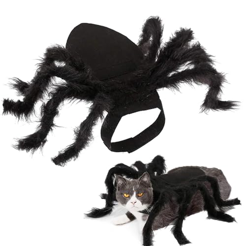 Halloween Spinnen Kostüm Haustier, Katzen Urlaub Dekoration, Halloween Plüsch Spinne Kostüme Für Kleine Bis Mittelgroße Hunde Und Katzen Verstellbar, Cosplay Kostü Haustierkleidung Halloween Spinnen Kostüm Haustier, Katzen Urlaub Dekoration, Halloween Plüsch Spinne Kostüme Für Kleine Bis Mittelgroße Hunde Und Katzen Verstellbar, Cosplay Kostü Haustierkleidung von baabeash