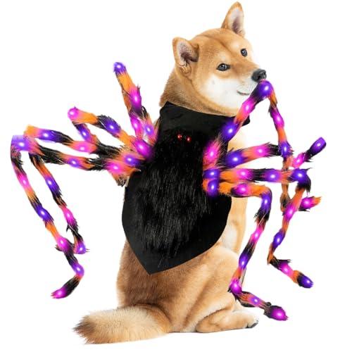 Hunde-Halloween-Kostüm, leuchtende Spinne für Hunde, Festival-Dekoration, Cosplay, Haustierkostüm, beleuchtet, lustig, festlich, Cosplay-Requisiten für Welpen, Party, Foto, Haustierfeier, Genuss-Event Hunde-Halloween-Kostüm, leuchtende Spinne für Hunde, Festival-Dekoration, Cosplay, Haustierkostüm, beleuchtet, lustig, festlich, Cosplay-Requisiten für Welpen, Party, Foto, Haustierfeier, Genuss-Event von baabeash